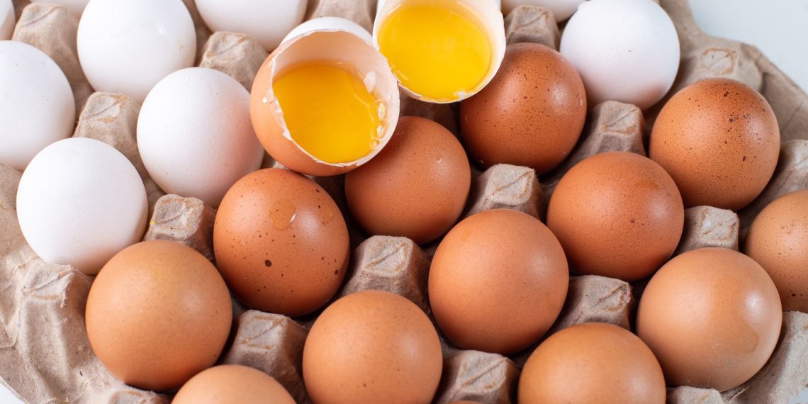 Bantuan Pakan Upaya Stabilkan Harga Telur